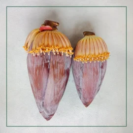 Banana flower